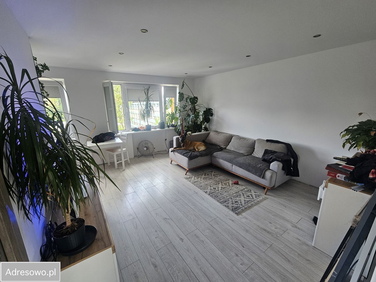 Mieszkanie 2-pokojowe Bytom Szombierki, ul. gen. Józefa Hallera