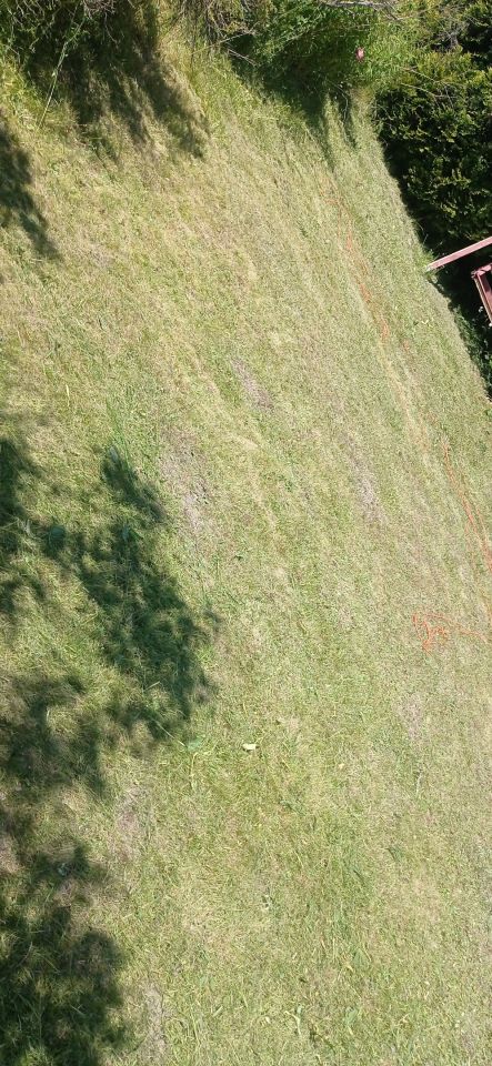 Działka rod Łódź Widzew, ul. Lodowa. Zdjęcie 14