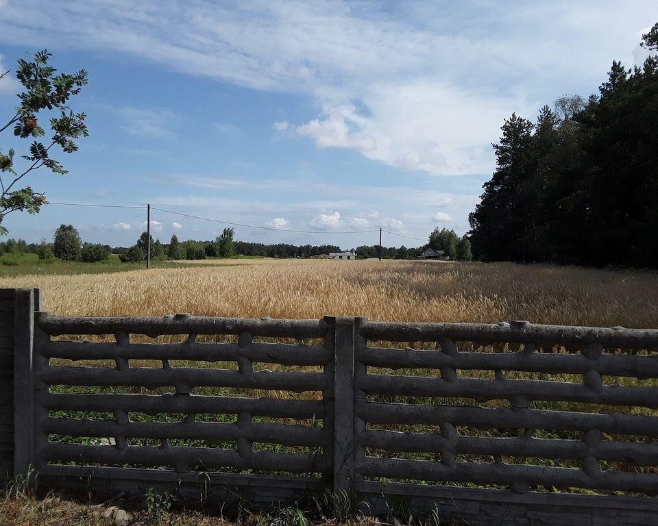 Działka budowlana Górzno, ul. Adama Mickiewicza. Zdjęcie 5