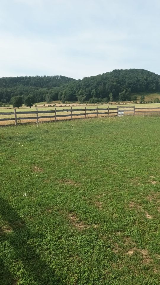 Działka budowlana Mikołajów. Zdjęcie 4