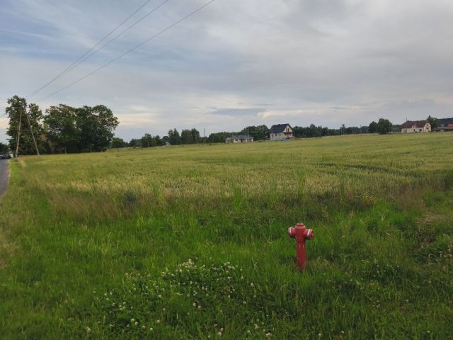 Działka budowlana Brzeźnik. Zdjęcie 1