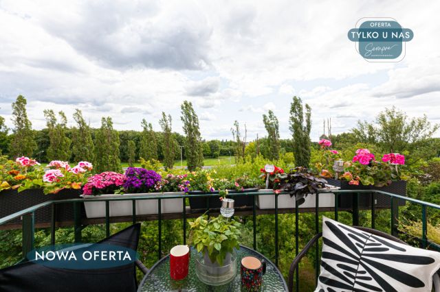 Mieszkanie 3-pokojowe Łódź Polesie, ul. Maratońska. Zdjęcie 12