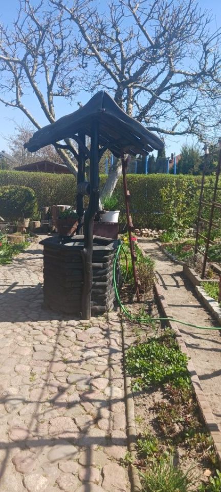 Działka rod Strzelno. Zdjęcie 4