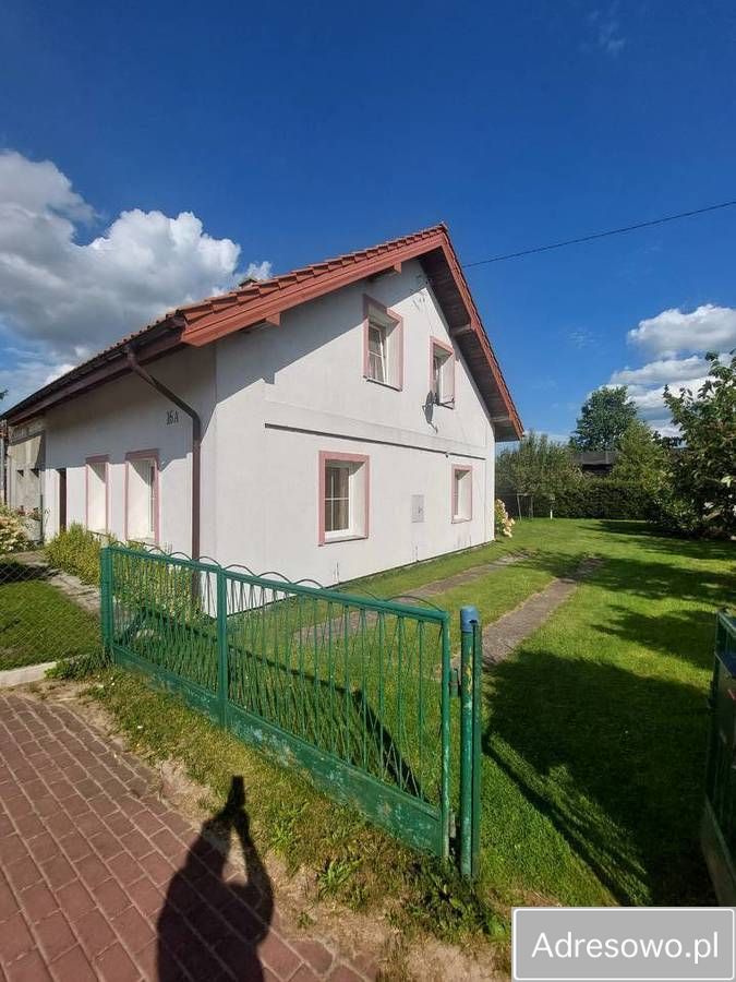 bliźniak Słonecznik. Zdjęcie 1
