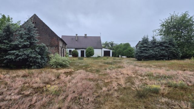 Działka siedliskowa Chojno-Błota Małe. Zdjęcie 6