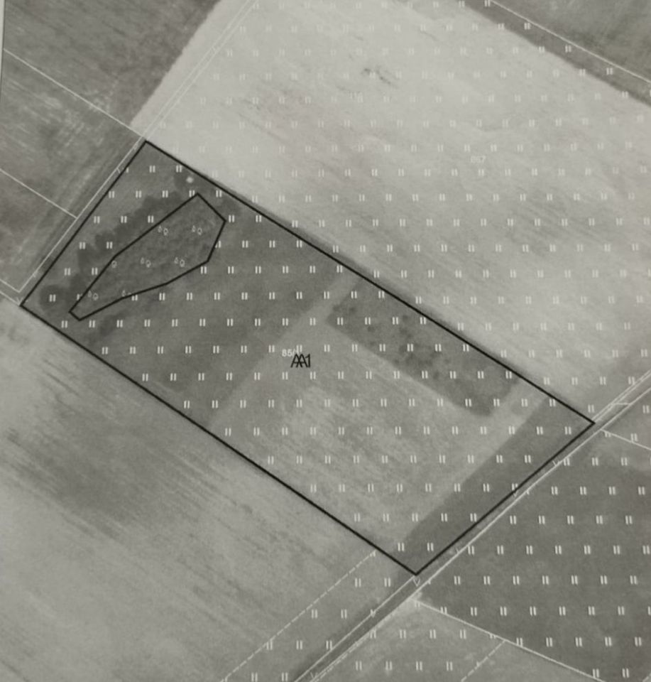 Działka rolna Popielów. Zdjęcie 3