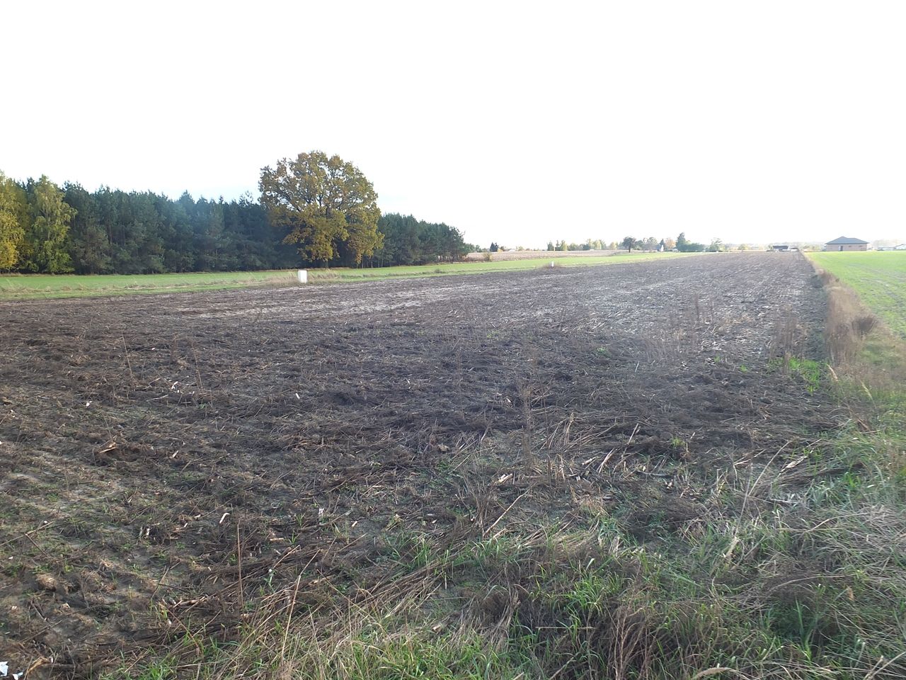 Działka budowlana Janów Ruszki. Zdjęcie 6