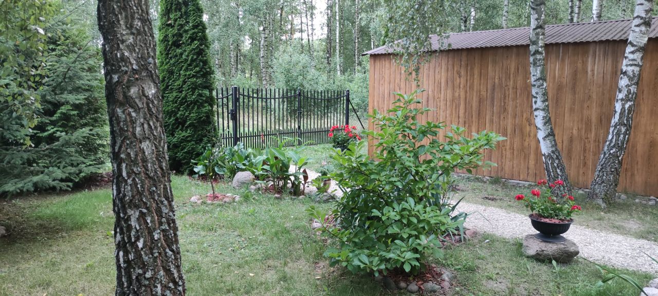 Działka rolno-budowlana Brodowo-Wity. Zdjęcie 3