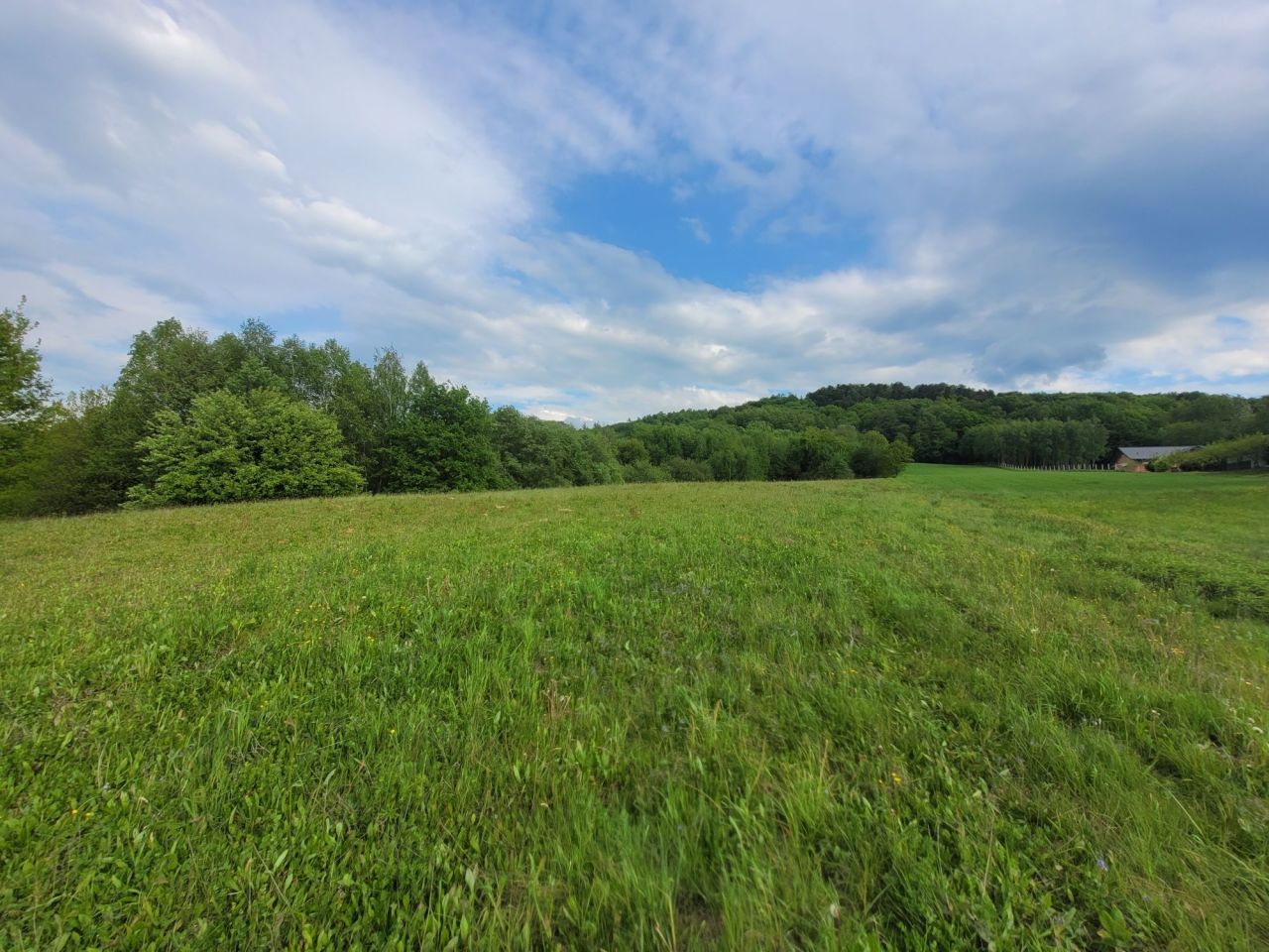 Działka budowlana Siedliska-Bogusz. Zdjęcie 3