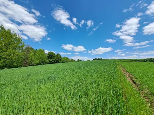 Działka rolna Antoniówka. Zdjęcie 1