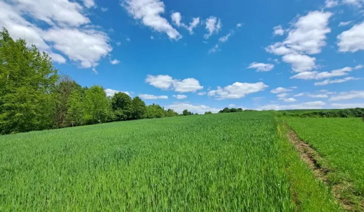 Działka rolna Antoniówka