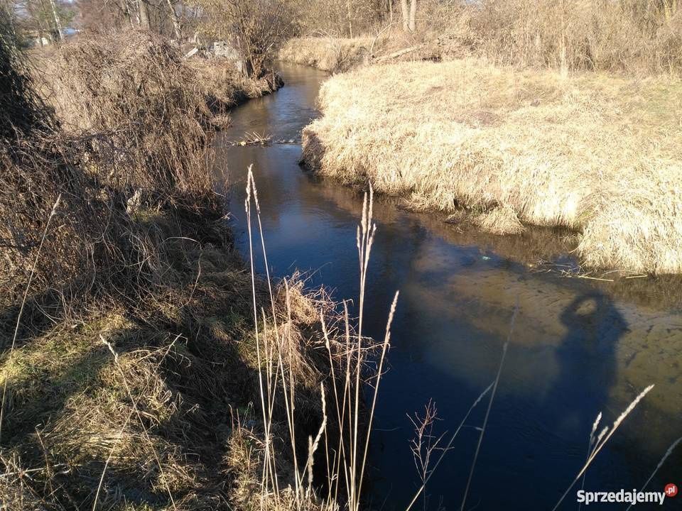 Działka budowlana Żyrardów, ul. Akacjowa. Zdjęcie 5