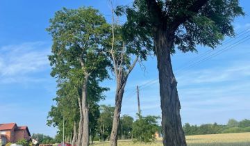 Działka budowlana Boszkowo, ul. Kolejowa