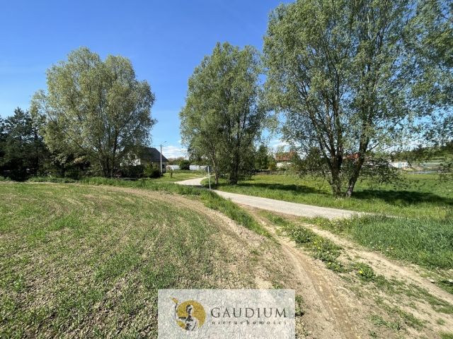 Działka Zła Wieś. Zdjęcie 9