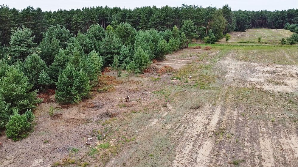 Działka budowlana Dąbrówka. Zdjęcie 5