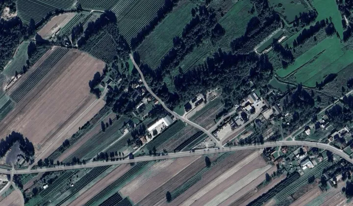 Działka leśna Dzierzkowice-Wola