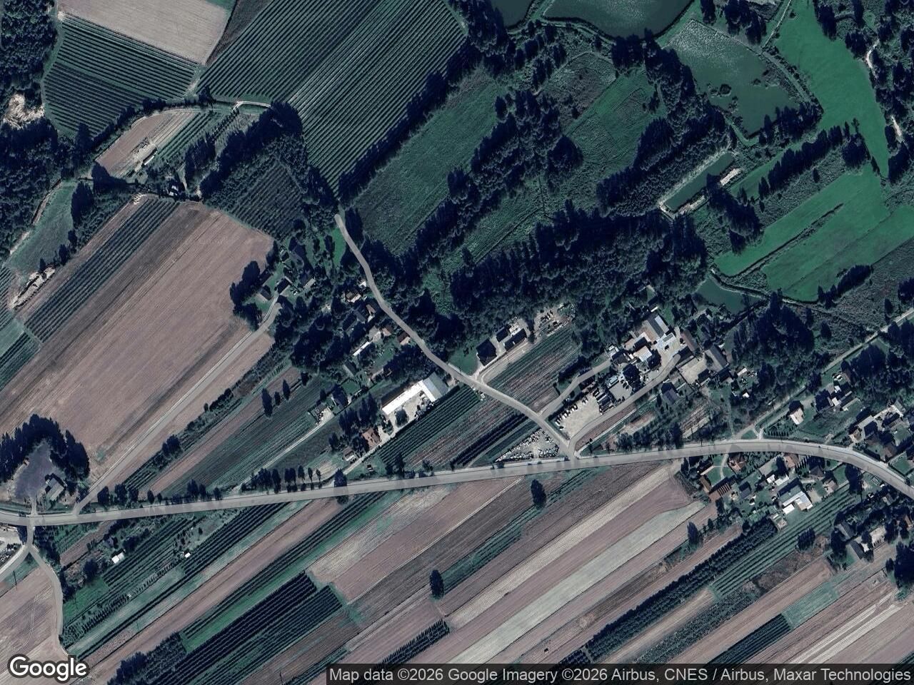 Działka leśna Dzierzkowice-Wola. Zdjęcie 1