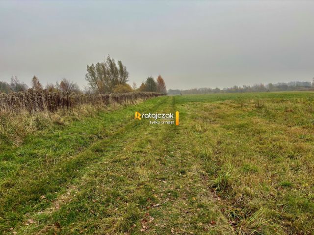 Działka budowlana Drewnica, ul. Zielona. Zdjęcie 8