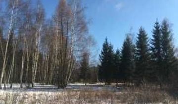 Działka inna Jelenia Góra Jagniątków, ul. Narciarska