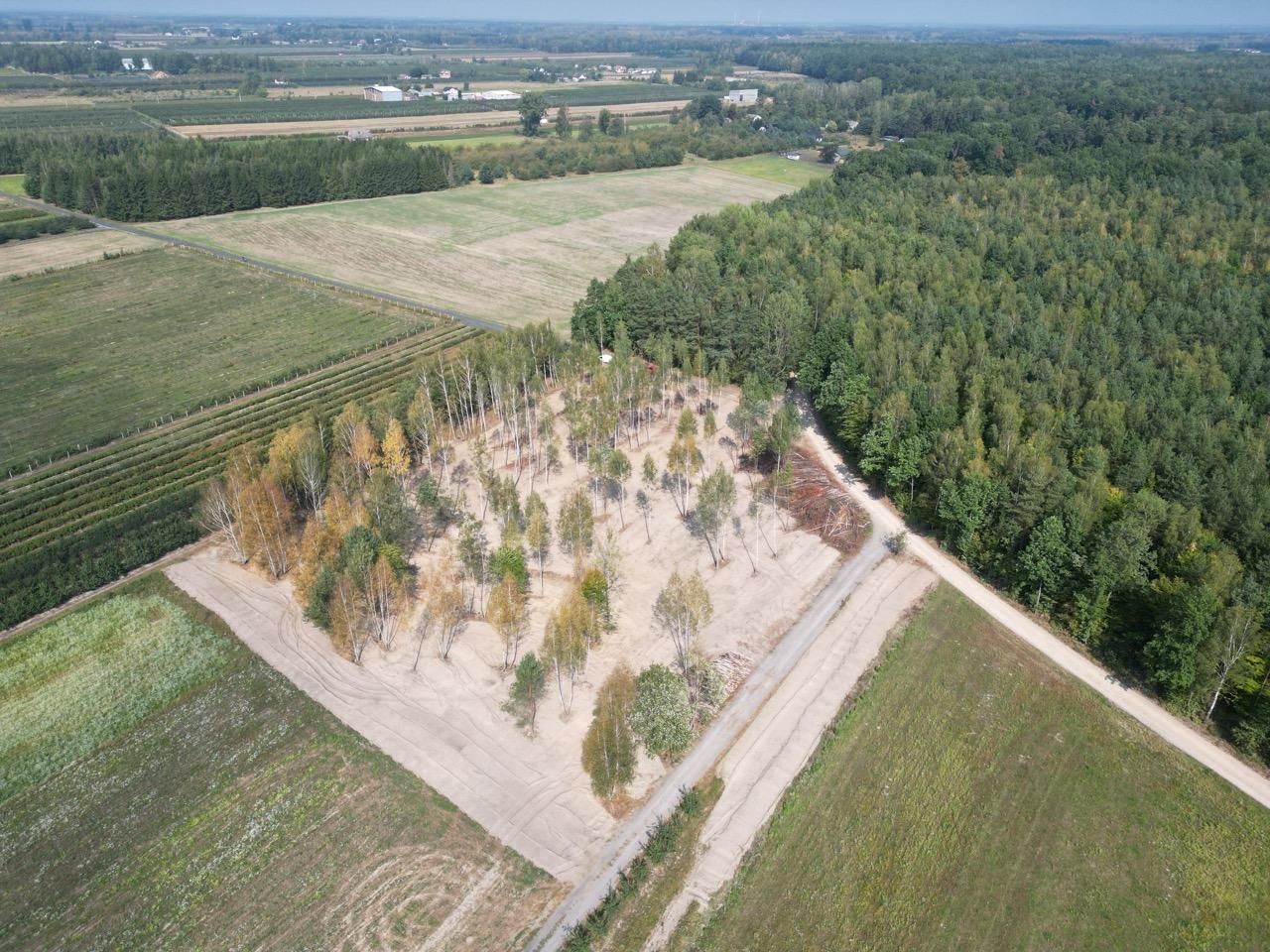 Działka budowlana Zimnice, ul. Janusza Kusocińskiego. Zdjęcie 8