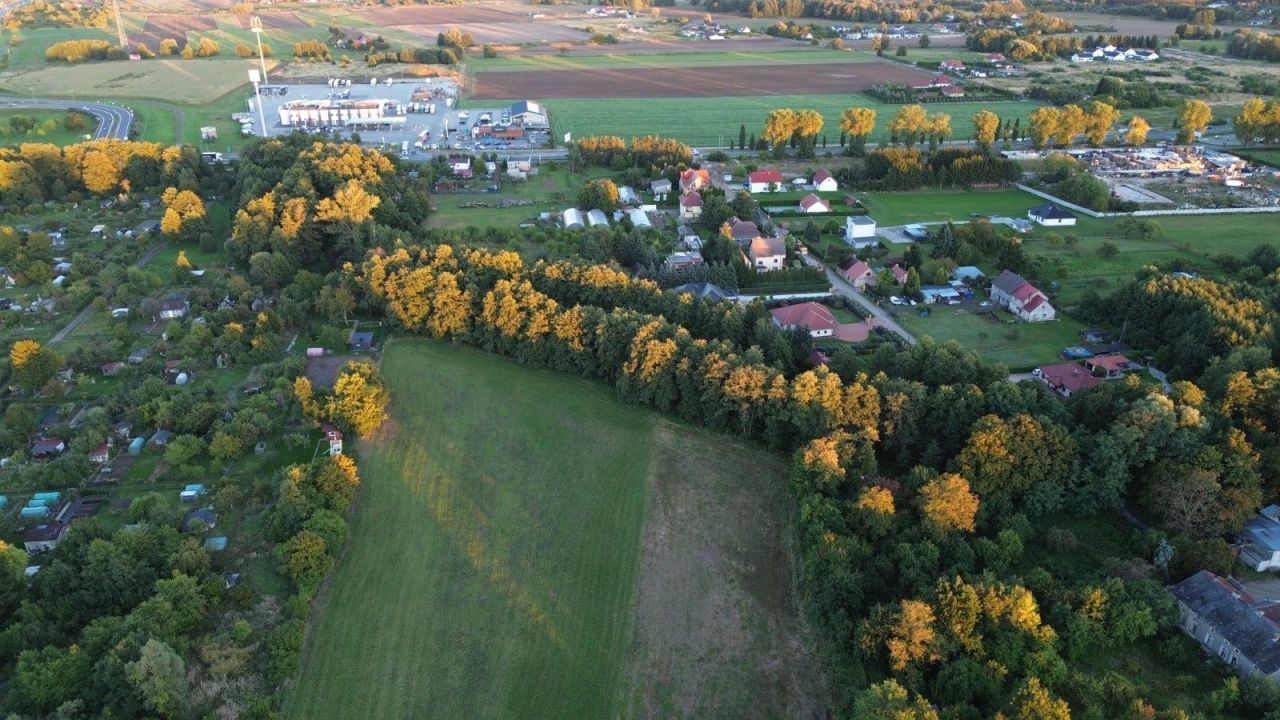 Działka rolna Gorzów Wielkopolski Zieleniec. Zdjęcie 8