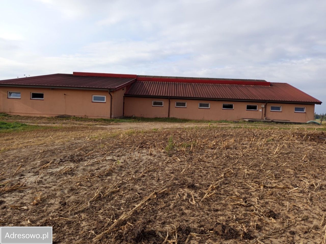 Działka rolna Milewo. Zdjęcie 14