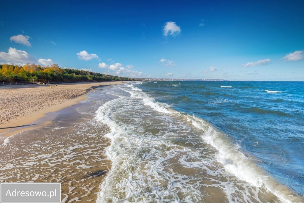 Działka budowlana Żukowo. Zdjęcie 4