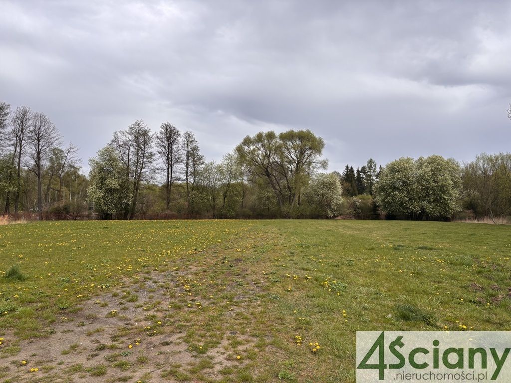 Działka budowlana Żółwin