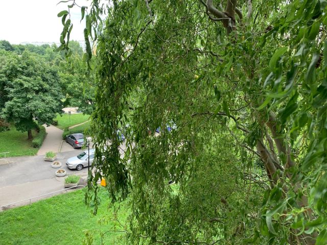 Mieszkanie 3-pokojowe Wrocław Popowice, ul. Popowicka. Zdjęcie 21