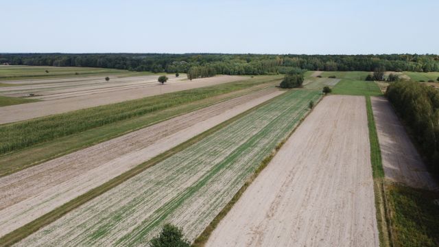 Działka budowlana Korczowiska. Zdjęcie 5