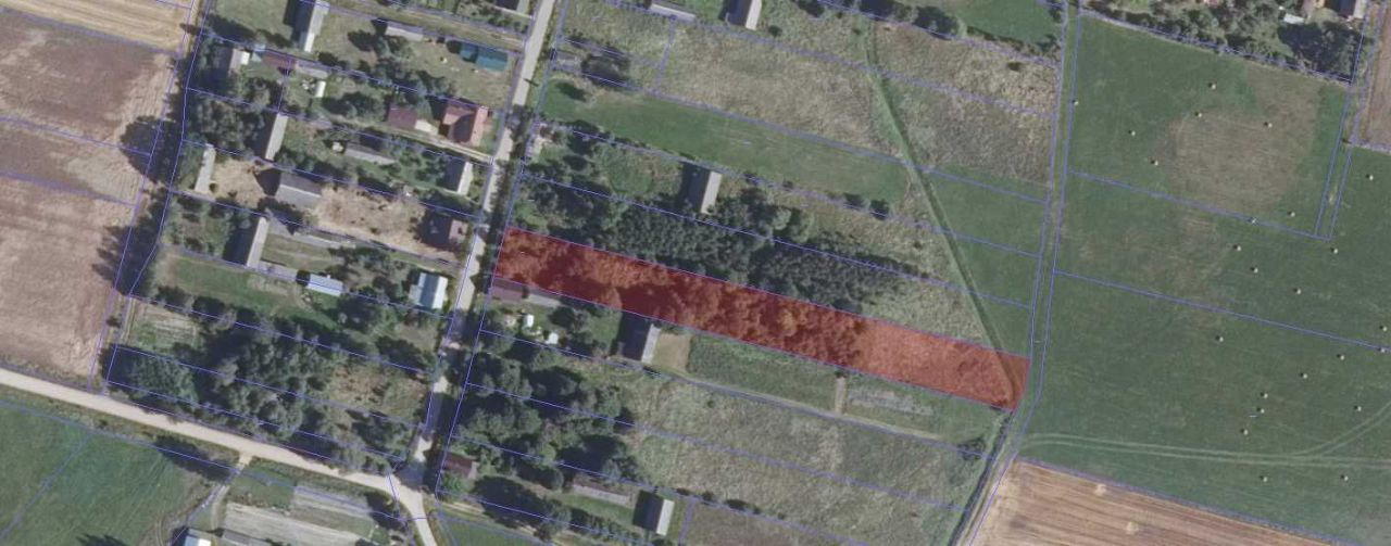 Działka siedliskowa Przybudki. Zdjęcie 2