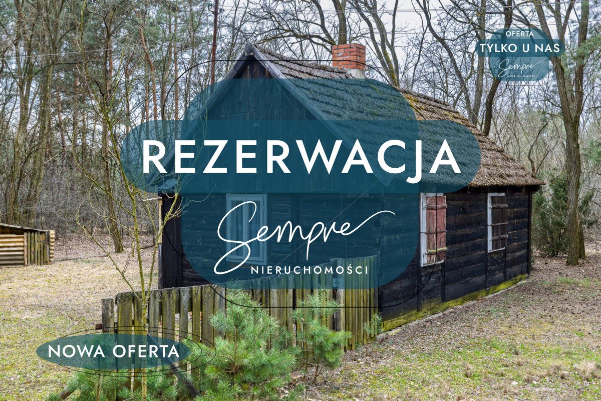 Działka leśna Kije