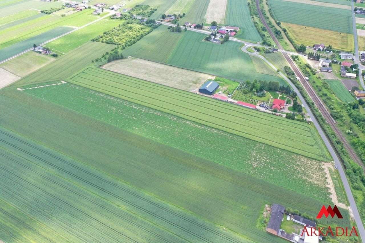 Działka rolna Kowal. Zdjęcie 4