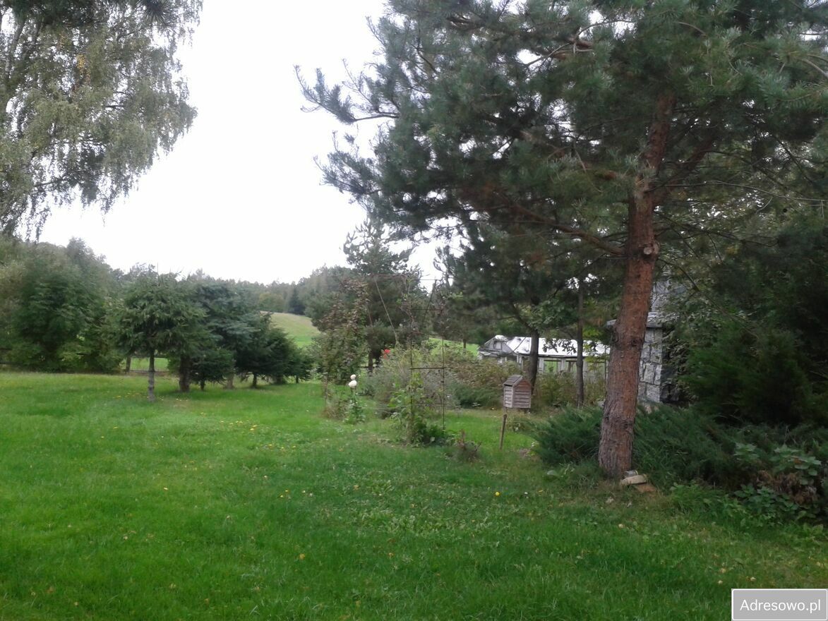 Działka siedliskowa Wólka. Zdjęcie 4