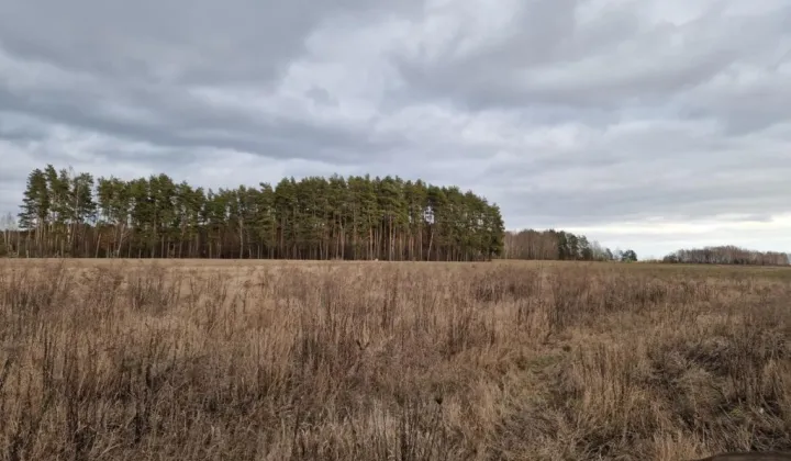 Działka budowlana Kuriany