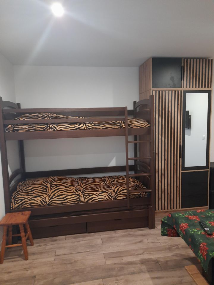 Mieszkanie 1-pokojowe Bielsko-Biała Stare Bielsko. Zdjęcie 6