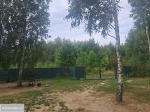 Działka rolno-budowlana Strojec, ul. Zacisze. Zdjęcie 4