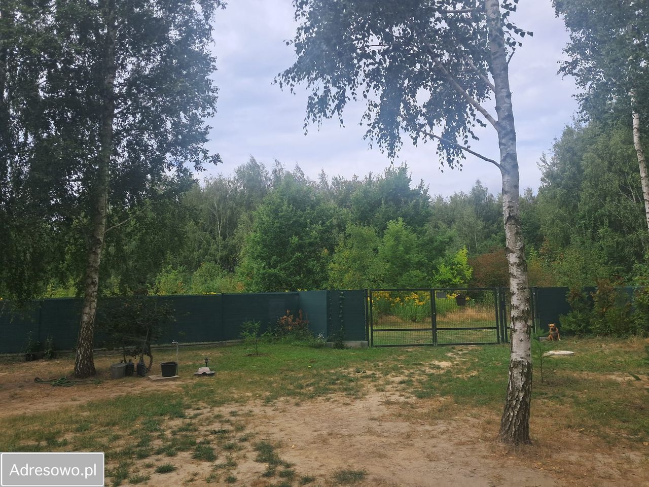 Działka rolno-budowlana Strojec, ul. Zacisze. Zdjęcie 5