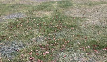 Działka budowlana Tarnowskie Góry, ul. Platanowa