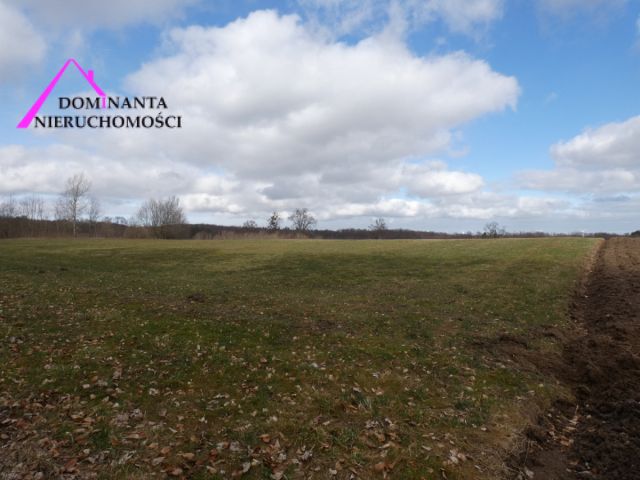 Działka budowlana Zdrada, ul. Leśna. Zdjęcie 14