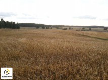 Działka rolna Smętowo Graniczne. Zdjęcie 3