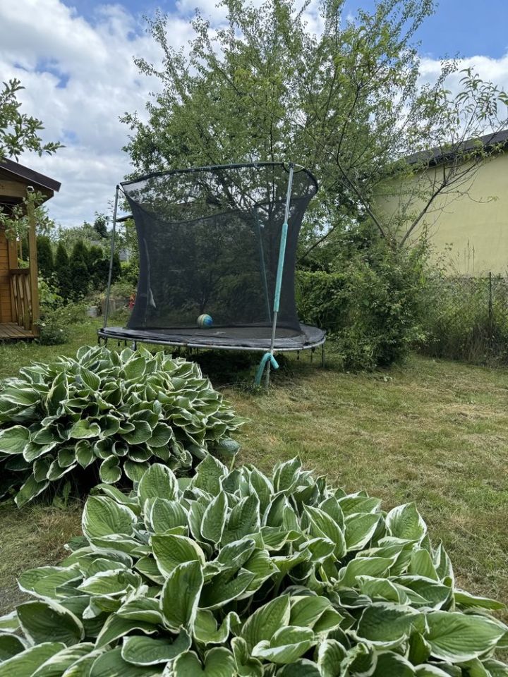 Działka rod Wejherowo, ul. mjr. Henryka Sucharskiego. Zdjęcie 3