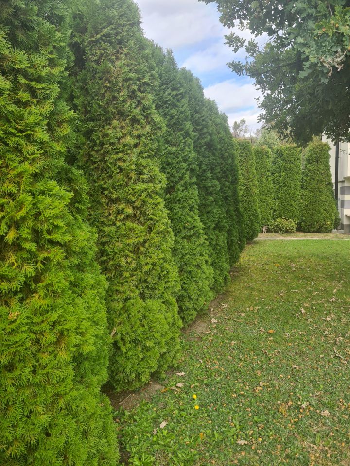 dom wolnostojący, 6 pokoi Kraków Opatkowice, ul. Poronińska. Zdjęcie 34