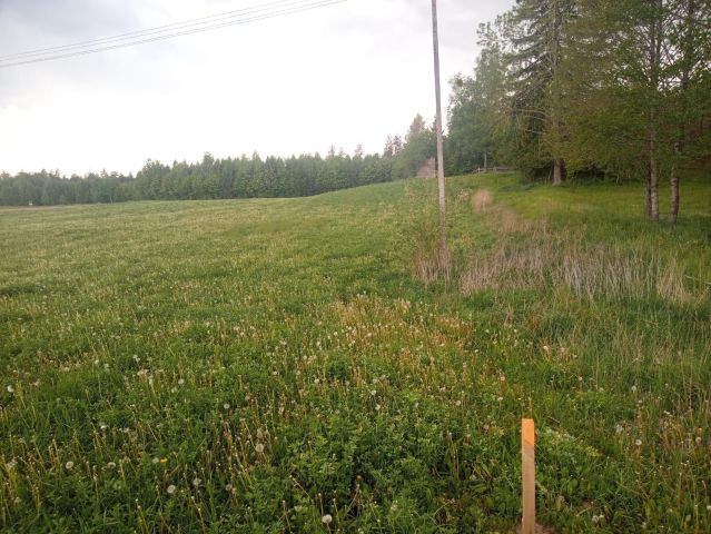 Działka rolno-budowlana Grabowo-Kolonie. Zdjęcie 1