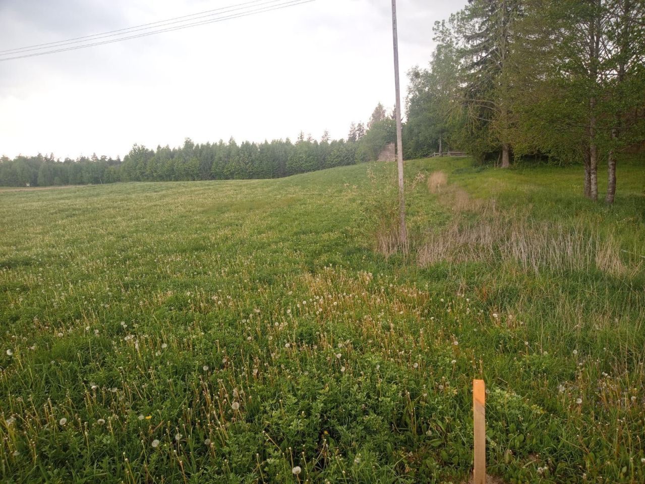 Działka rolno-budowlana Grabowo-Kolonie