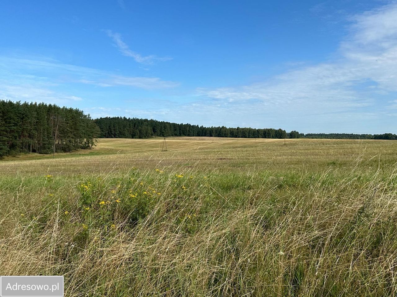 Działka inwestycyjna Ińsko