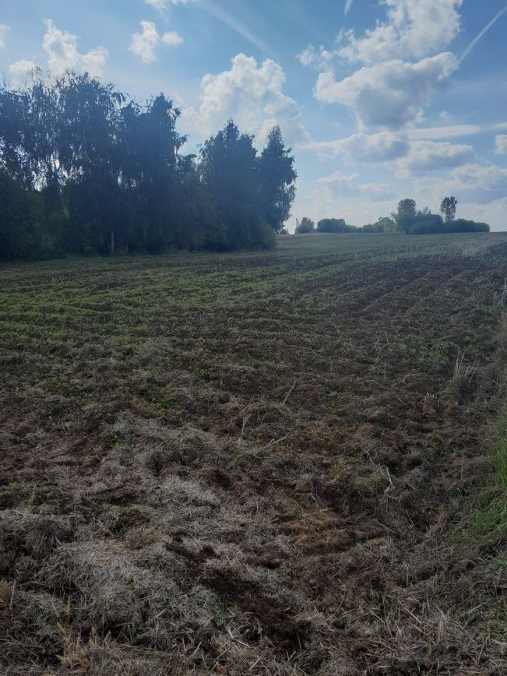 dom wolnostojący Jastrzębniki. Zdjęcie 4