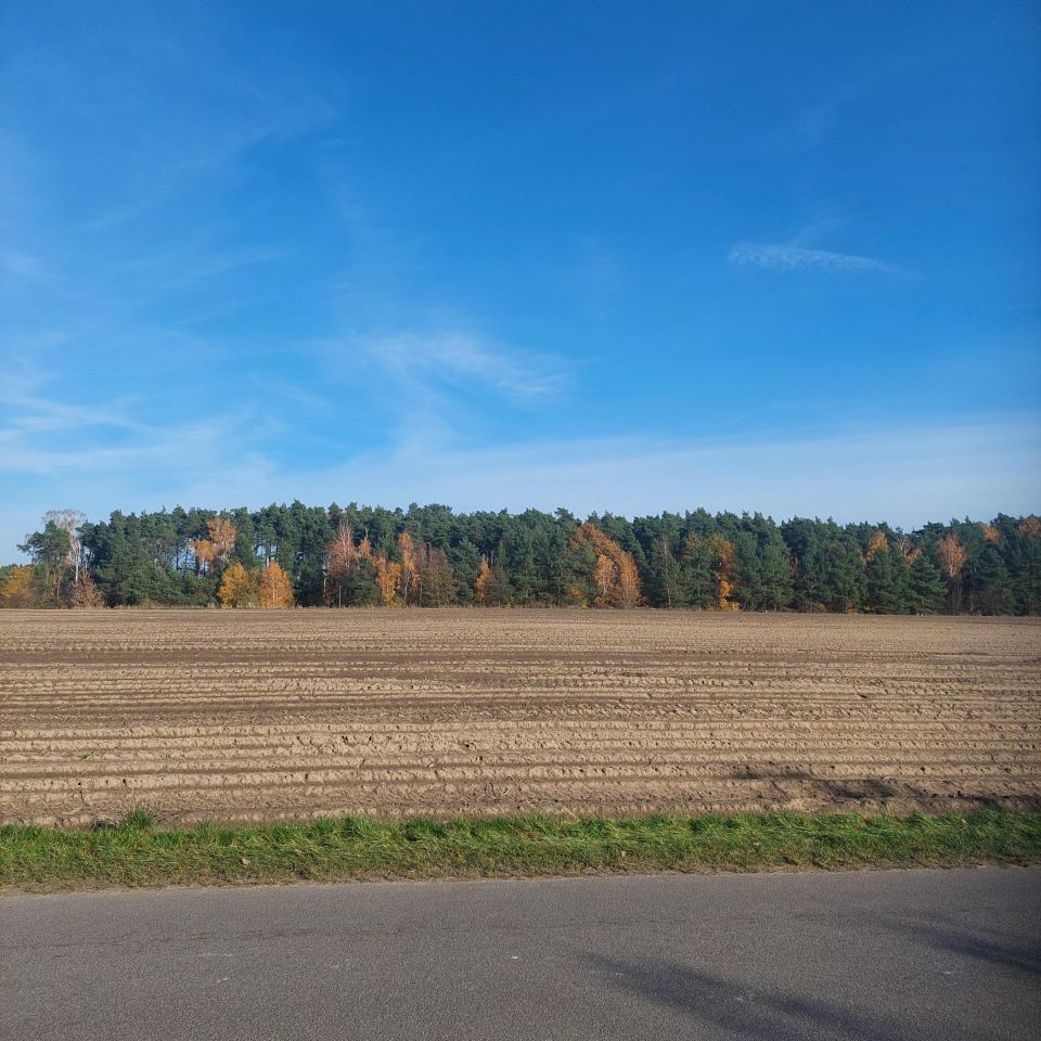 Działka rolno-budowlana Grabów-Wójtostwo, os. Leśne. Zdjęcie 6