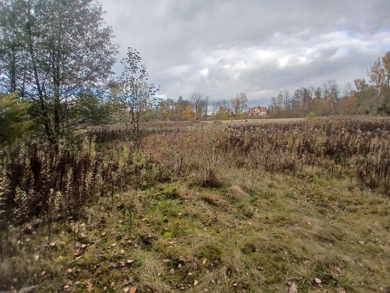 Działka rolno-budowlana Dobrzyniec