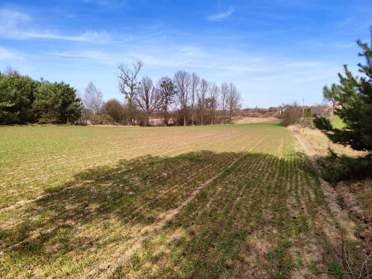 Działka budowlana Ruda. Zdjęcie 7